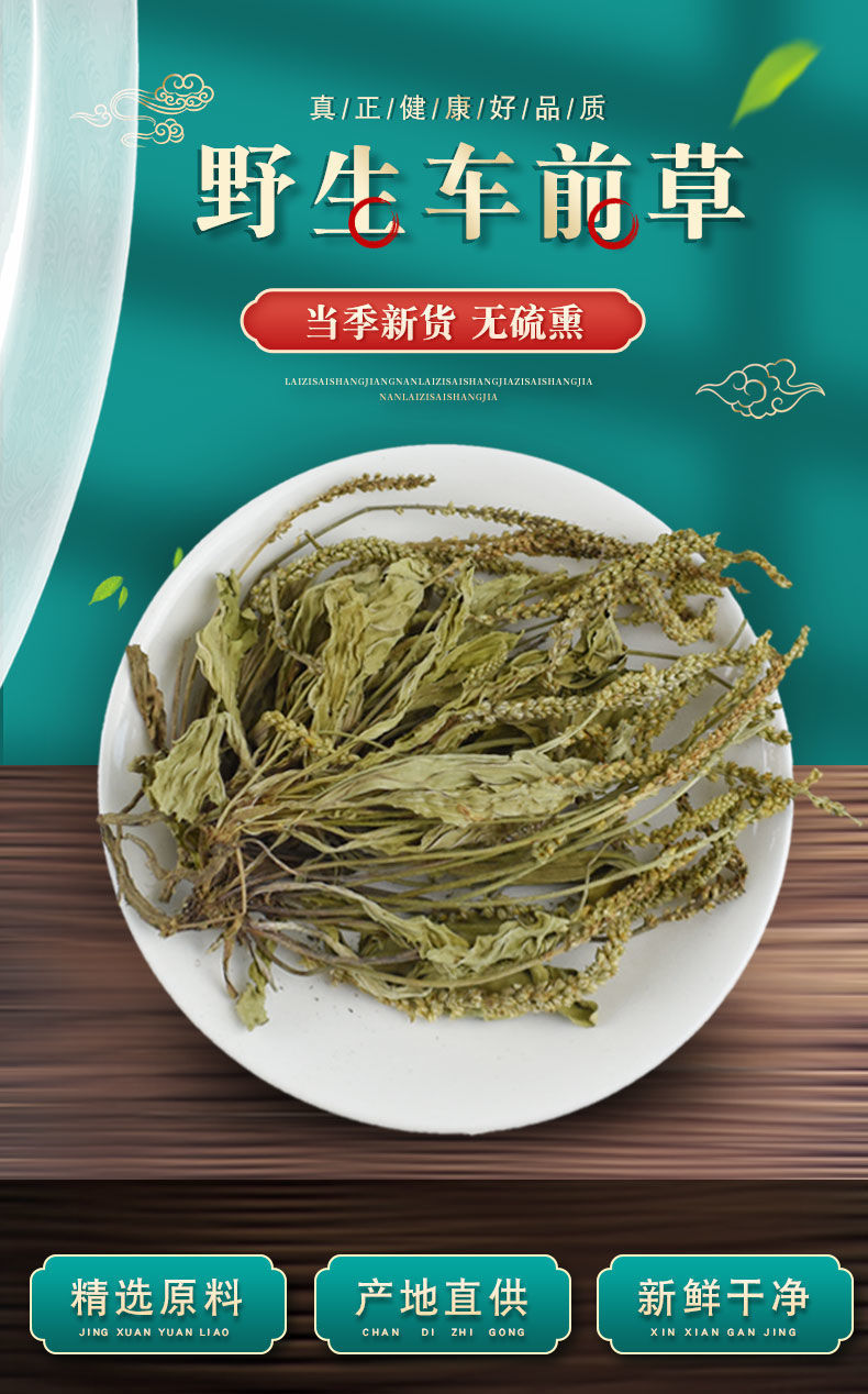 车前草500克中药材车前草干非新鲜泡水喝天然整根车前草 500g【图片