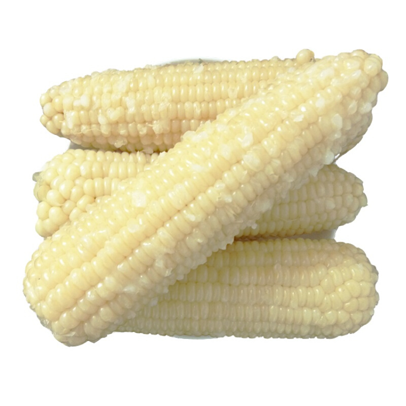 sf东北糯玉米 3000g速冻甜玉米棒糯玉米新鲜粘苞米黏玉米白甜10支【图