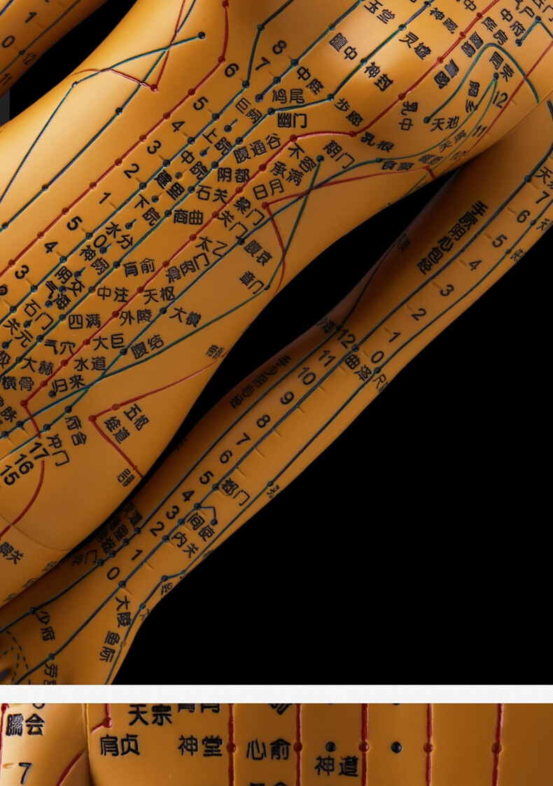 中医针灸人体穴位模型人体经络穴位图十二可扎针练习教学小铜人铜色