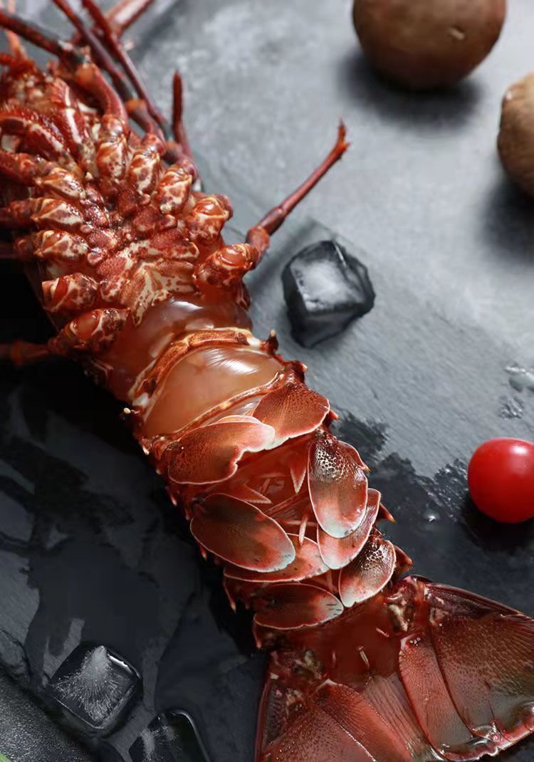 【顺丰空运】红龙虾 澳洲龙虾鲜活冷冻锦绣大龙虾海捕