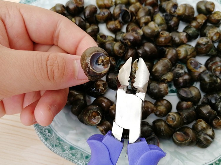 剪田螺神器田螺剪尾器夹剪螺蛳尾钳机剪田螺去尾钳工具剪螺蛳神器剪