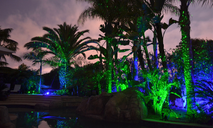 萤火虫灯 户外 户外防水rgb萤火虫花园遥控激光灯园林节日装饰工程