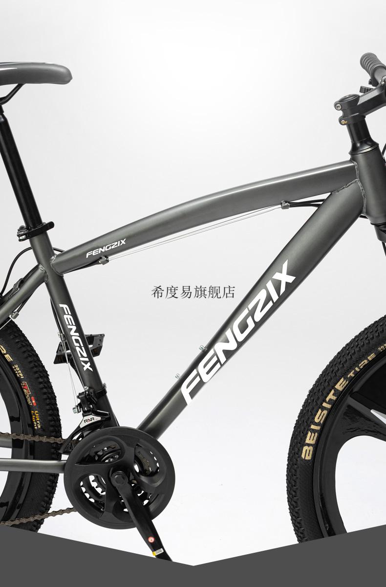 意大利旗舰新款银天使m16山地车fengnix烈风碳纤维山地自行车男女式