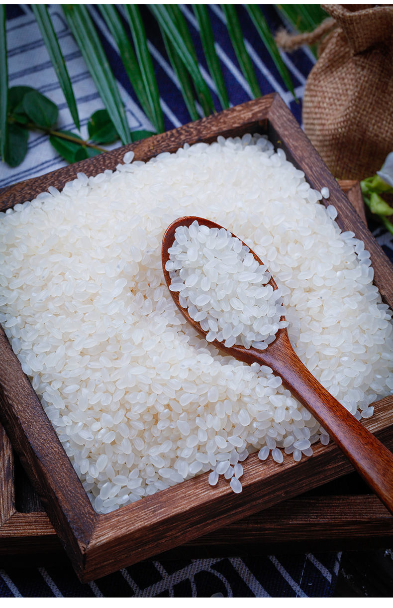 东北大米10斤5斤黑龙江正宗稻花香长粒香珍珠米农家批发 21年新米