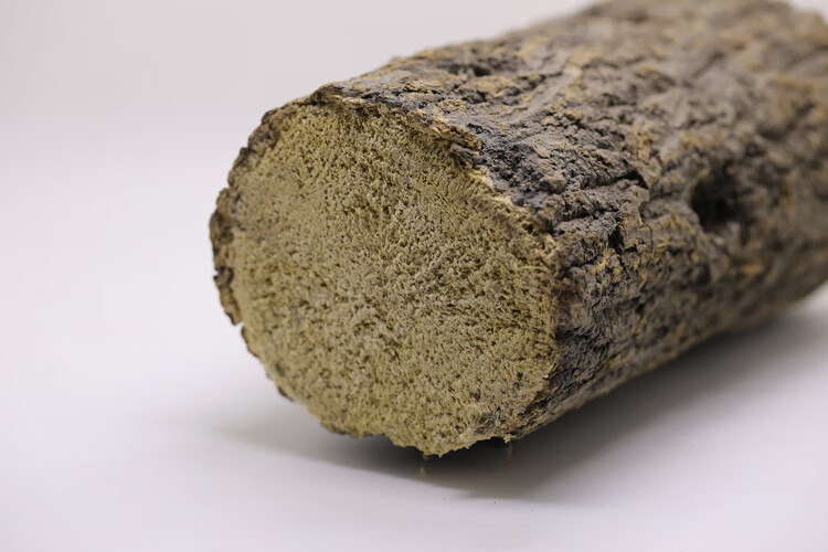 甲虫产木 彩虹锹甲成虫产卵繁殖产房发酵木屑独角仙中大扁巨扁锹 偏软