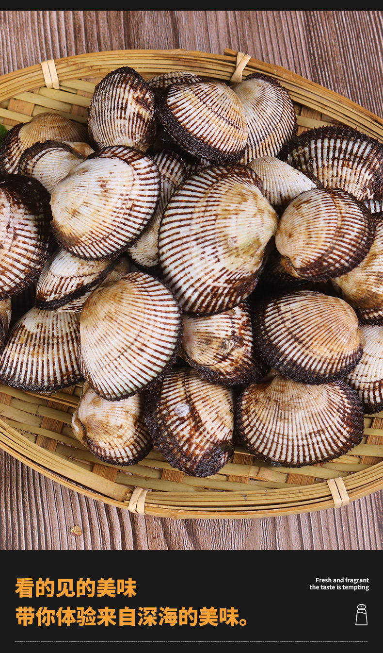 海鲜水产贝类鲜活毛蛤新鲜蛤蜊大毛蛤野生贝类血蛤大毛蚶海毛蛤5斤