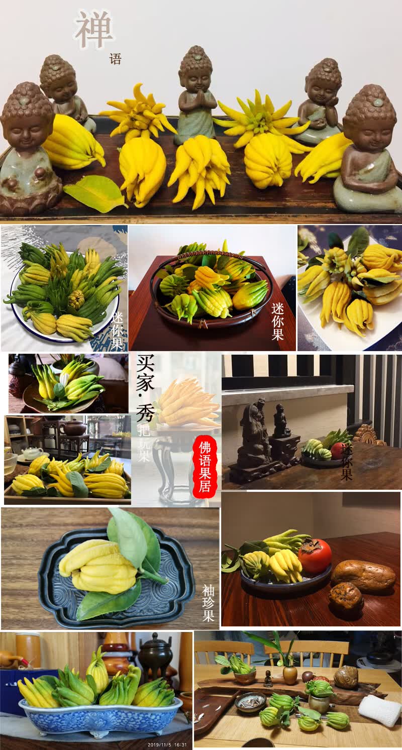 自然黄大佛手 金华佛手果 佛手柑 金佛手 金佛手果新鲜大黄果 佛手3年