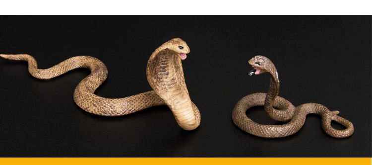 玉米蛇活物仿真野生动物假蛇玩具塑胶模型眼镜蛇响尾蛇蟒蛇儿童圣诞