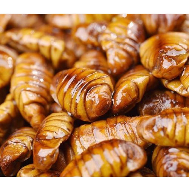 山东桑蚕蛹新鲜蝉茧蛹零食特产100g-1000g 1000g 泡沫箱 冰袋【更保鲜