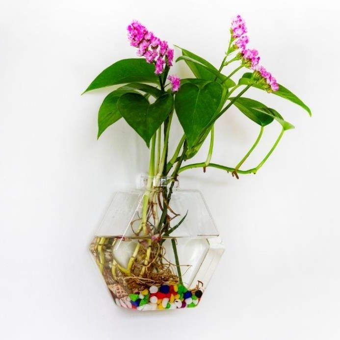 精选花瓶玻璃水培插花客厅卧室水养家用养鱼室内透明挂壁饰墙花盆北极