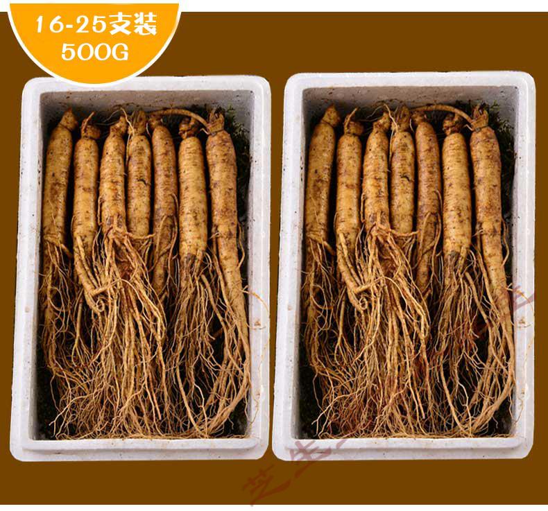 官方旗舰新鲜人参长白山人参鲜参现挖带土东北生人参泡酒人叁大煲汤