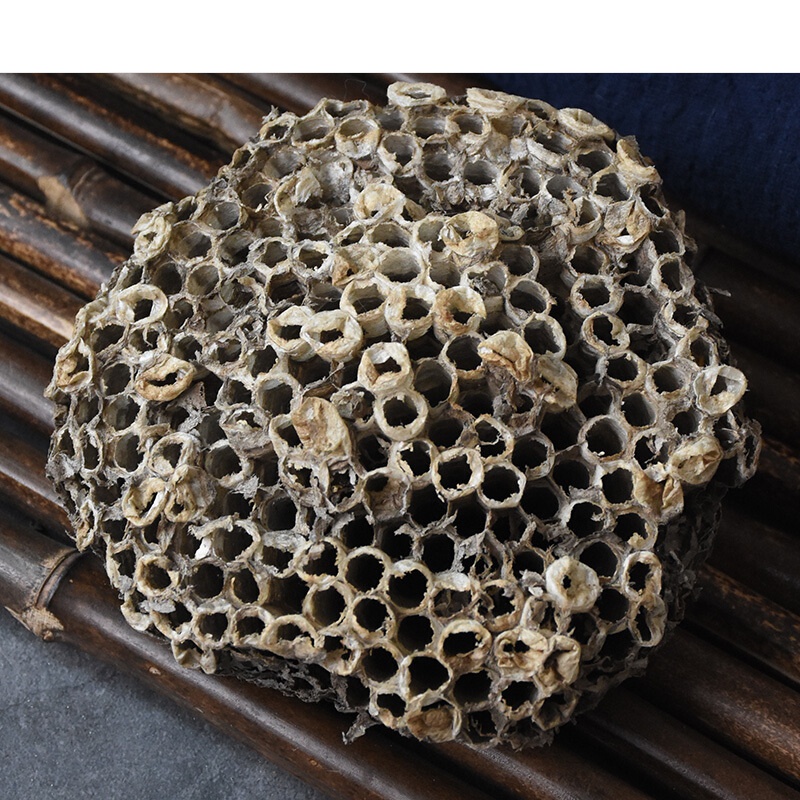 伟博野生蜂房100g马蜂窝露蜂房胡蜂巢蜂巢黄蜂窝牙疼