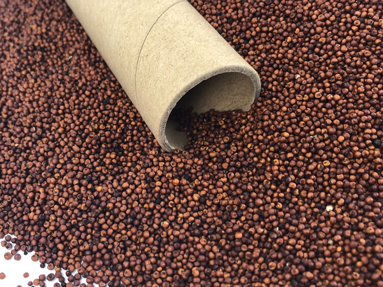 广西粟米粒龙爪粟拳头粟小枕头鸭脚粟米粥鸭脚栗米红色粟米粉