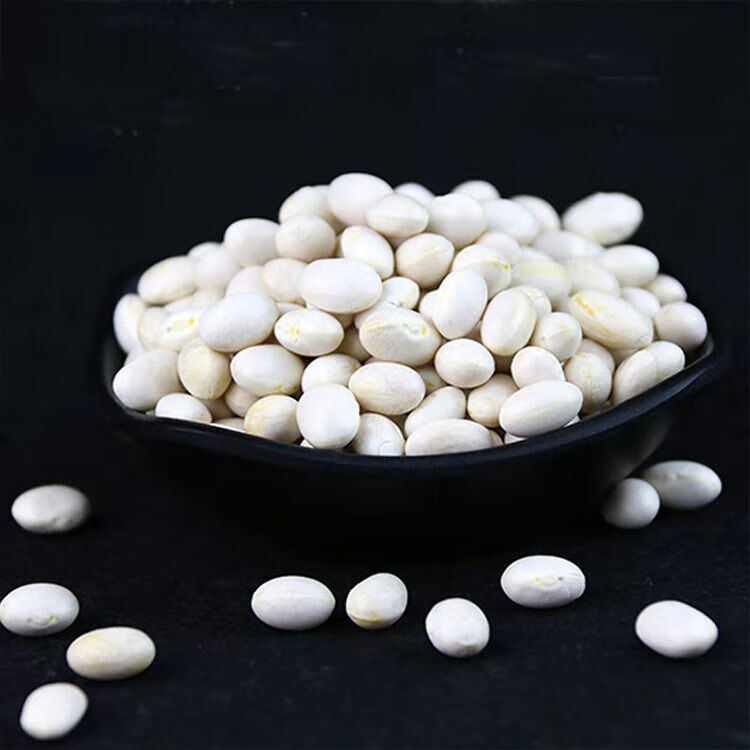 贵州小白豆新豆小白芸豆云豆珍珠豆豆杂粮豆类酸菜豆米2-10斤 2斤净重