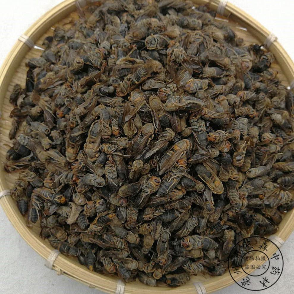 中药材马蜂干100克泡酒大黄蜂马蜂葫芦蜂新货另有蝗虫干 500克【图片