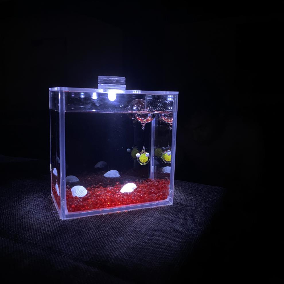 不二臣泰国斗鱼专用缸小型桌面超白缸展示级斗鱼专用缸创意桌面鱼缸水