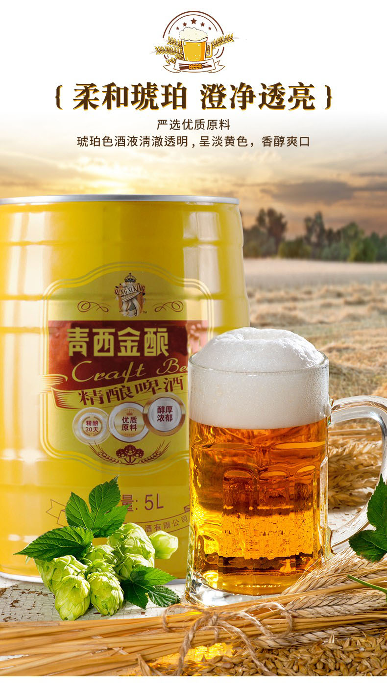 青西金琥珀拉格啤酒青岛特产精酿啤酒5l装啤酒节【图片 价格 品牌