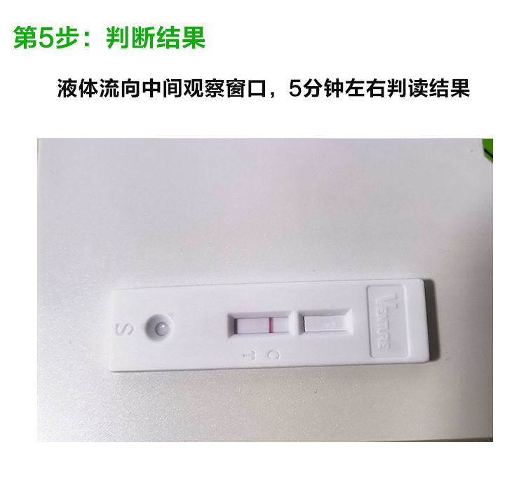 猫瘟试纸猫鼻支试纸猫冠状猫杯状猫传腹猫咪病毒检测犬猫弓形虫猫鼻支