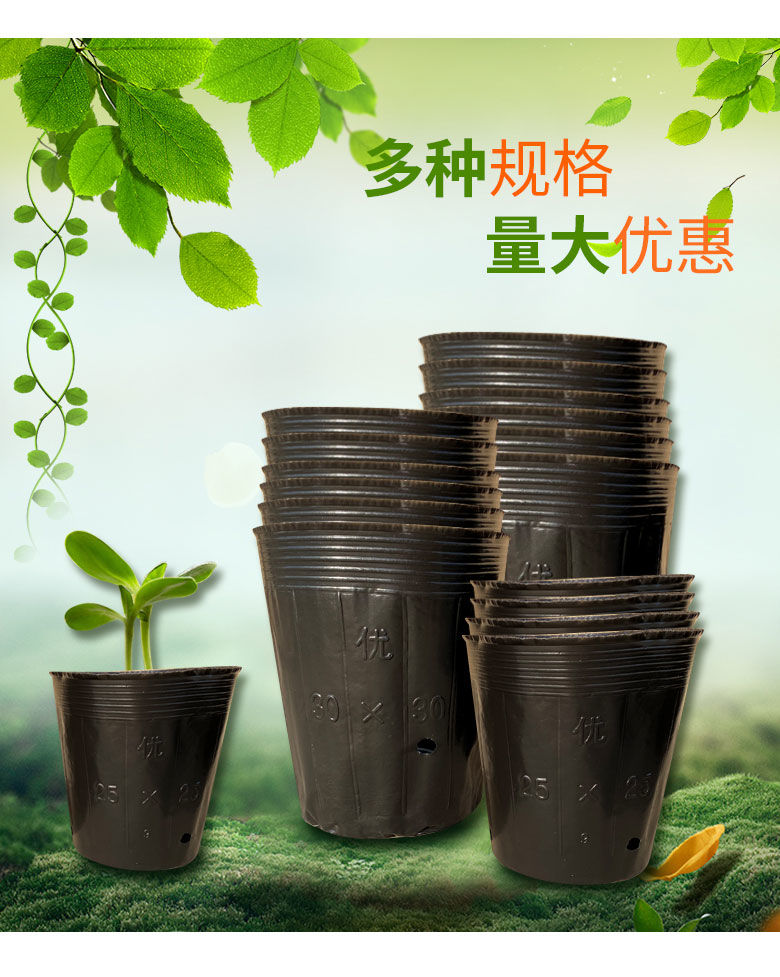营养杯育苗杯一次性大号育苗营养杯加厚黑色塑料袋农用西瓜种植盆柑橘