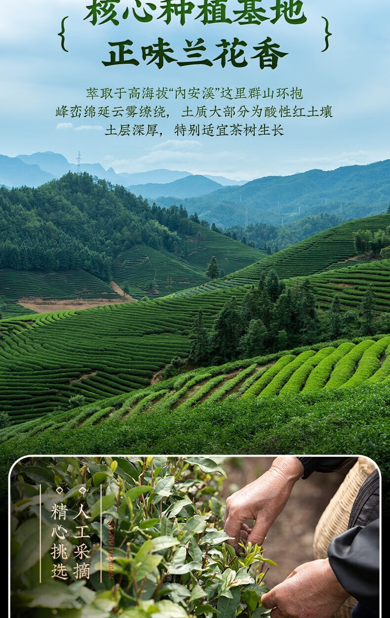 fb0d56cfcc754310.jpg