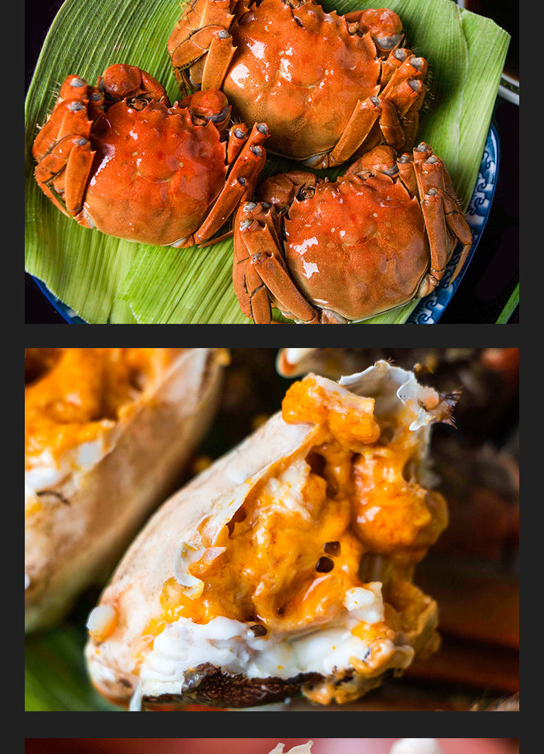 大闸蟹鲜活新鲜特大六月黄现货螃蟹公母生鲜塞红康尔3631两8只