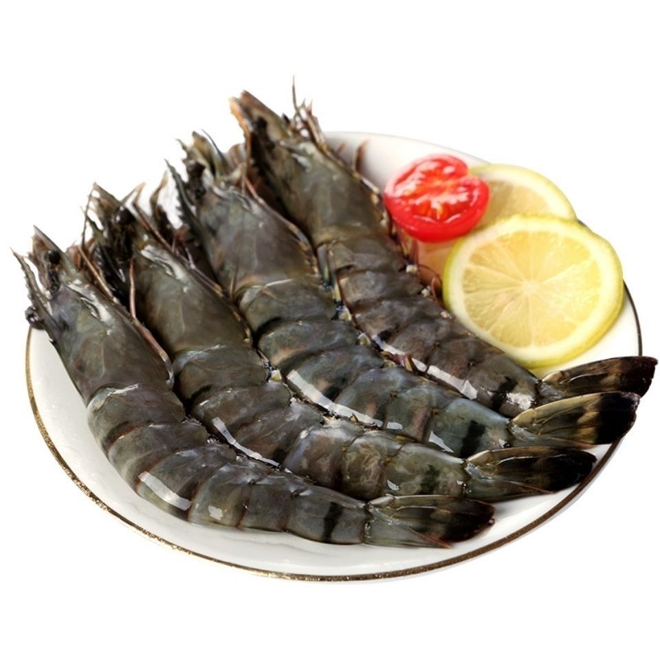 福建海捕黑虎虾新鲜大草虾鲜活海鲜冷冻水产九节虾斑节虾食材 丽鲜玫