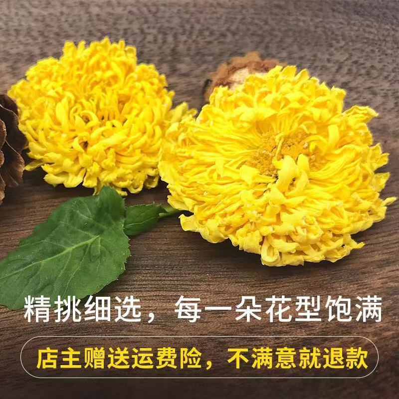 青驰菊菊花茶青驰菊青池菊开封特产【图片 价格 品牌 报价】-京东