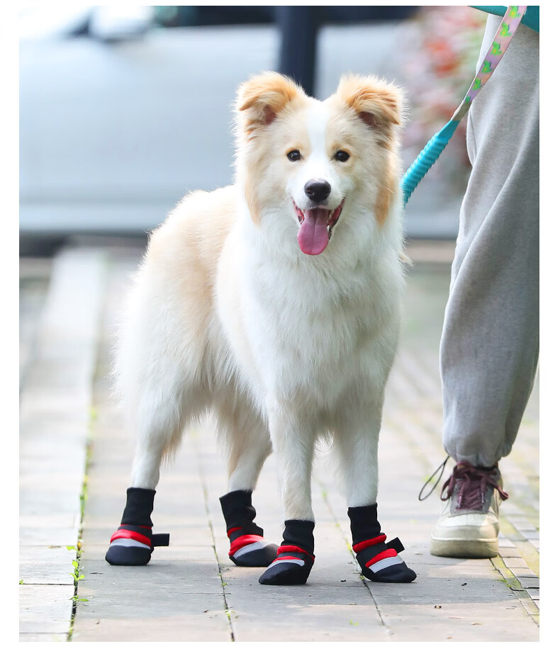 宠物狗爪套 大狗狗鞋子春秋软底雨鞋金毛夏季中型大型犬防脏不掉宠物
