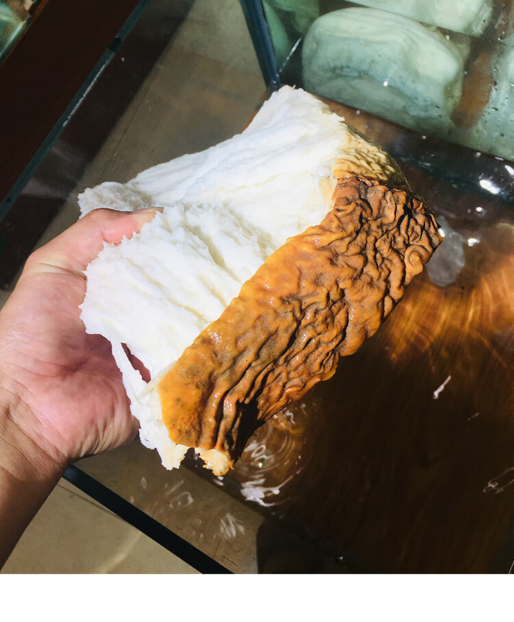 太岁肉灵芝整体带皮白肉土太岁活体泡水养生50g活太岁【图片 价格