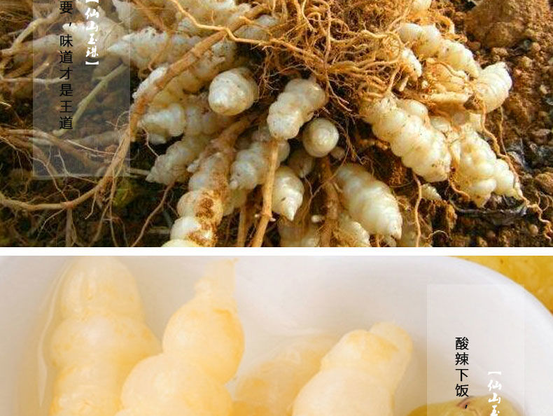 重庆黔江土特产地牯牛仙山玉珠泡菜草石蚕下饭菜泡椒味宝塔菜400g400