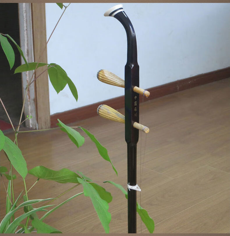 苏州二胡乐器初学入门成人儿童考级演奏戏剧乐团大音量琴红花梨木二胡