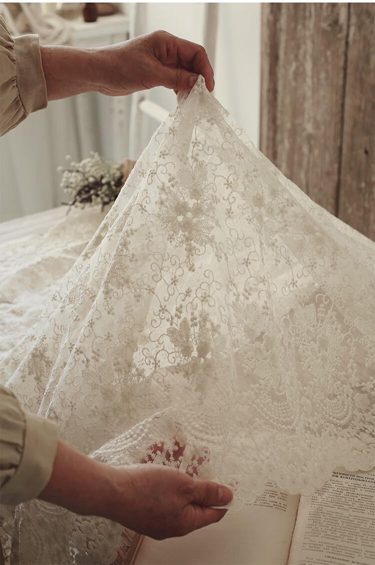 蕾丝布料面料 纯棉线欧根纱刺绣绣花面料服装设计婚纱裙料蕾丝花边diy