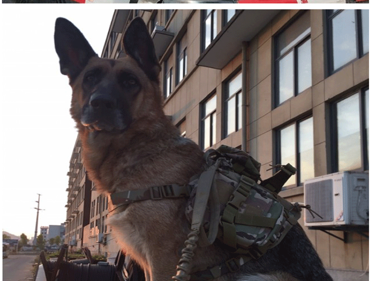 工匠头战术狗衣背心式胸背带中大型犬德牧k9马甲狼狗马犬金毛宠物衣服