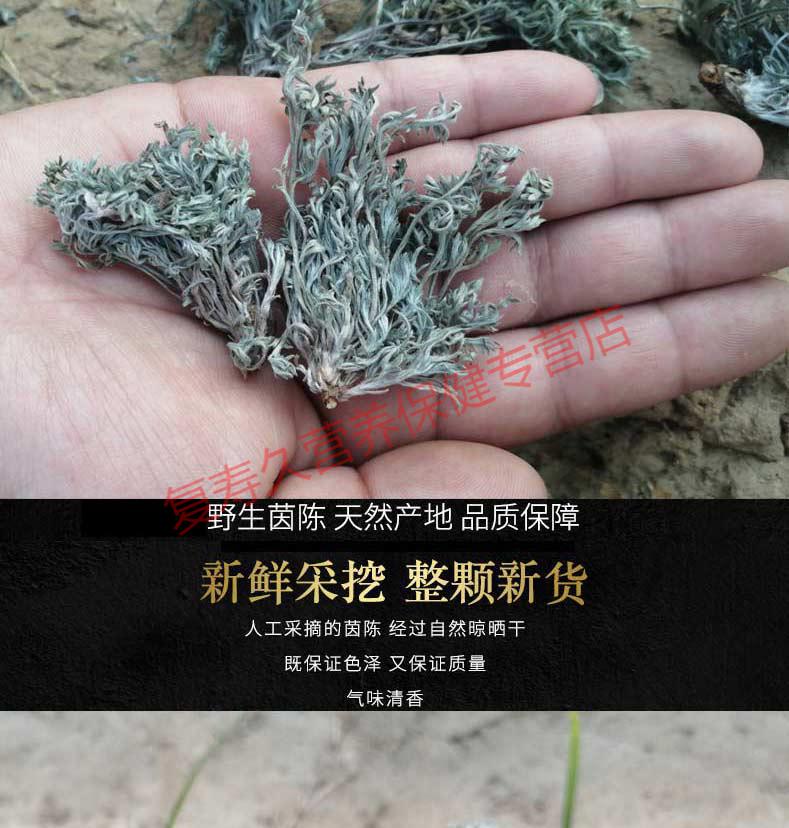 康中尊春季绵茵陈草干野生三月白蒿新鲜绵棉茵陈白蒿500g