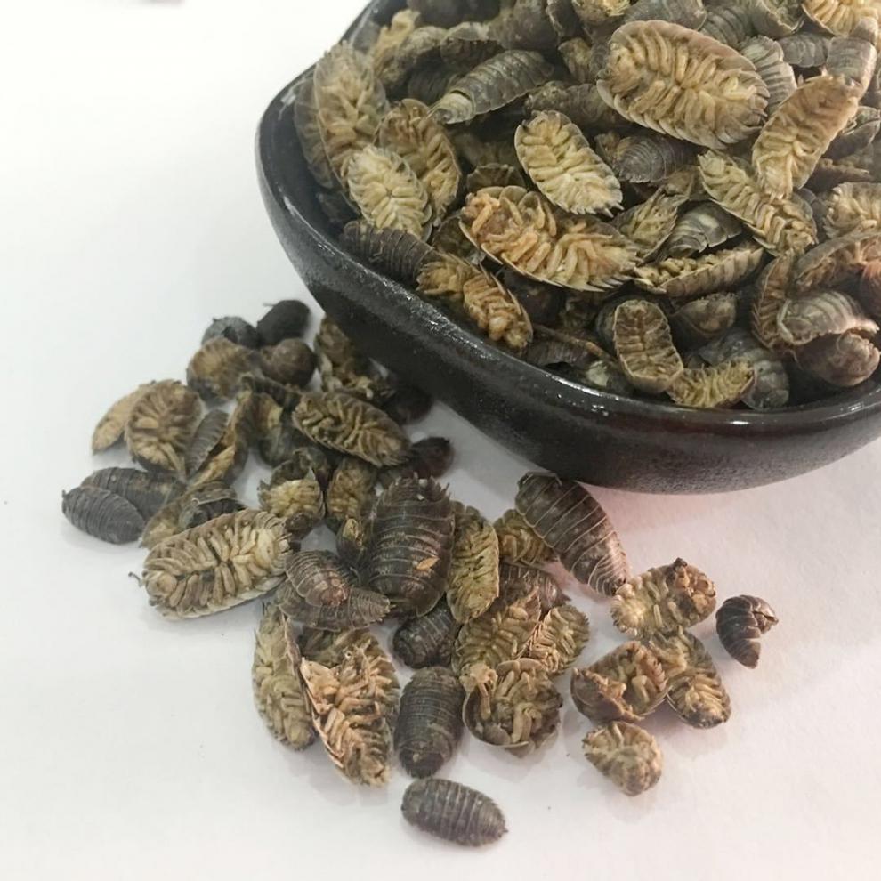 亏本卖啦中药材鼠妇虫野生鼠妇虫地虱湿生虫潮虫干货可打粉100克粉