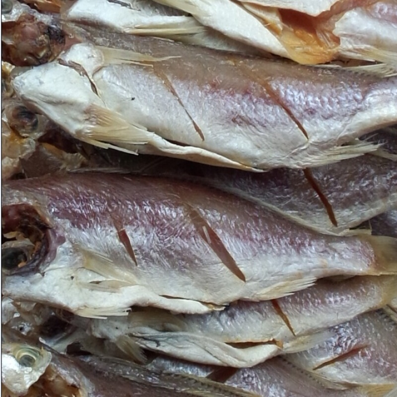 浙江温州温岭特产渔家自晒无头咸鱼干海鱼干500g黄鱼干