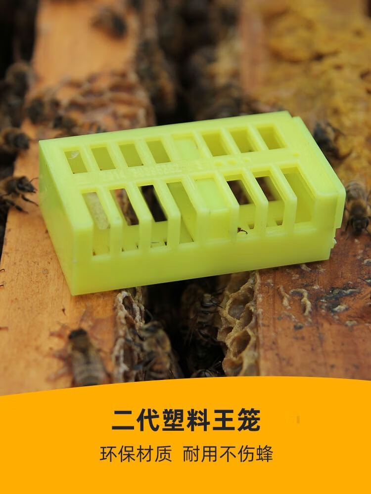 王笼100个装【图片 价格 品牌 报价】-京东