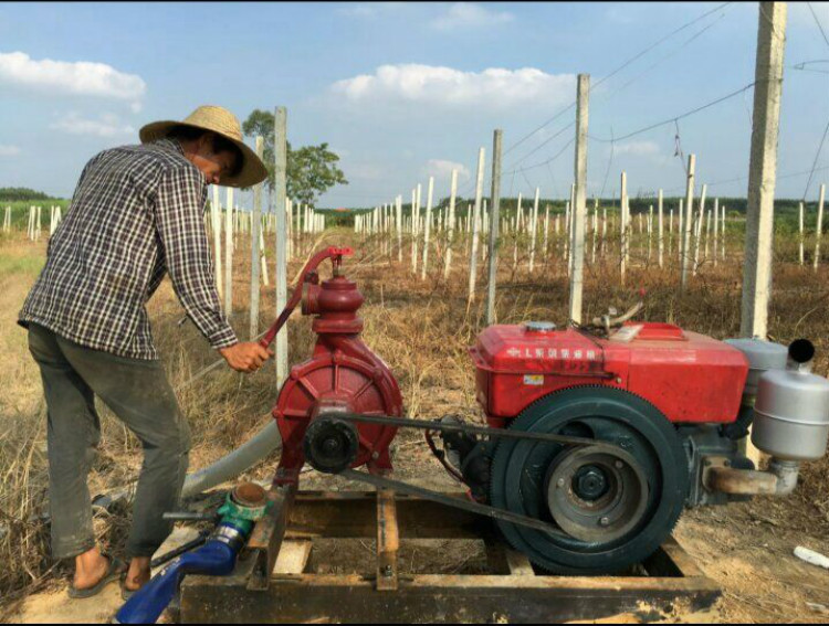 离心泵拖泵高扬程大流量水泵农用高压泵抽水机农田灌溉泵 2.