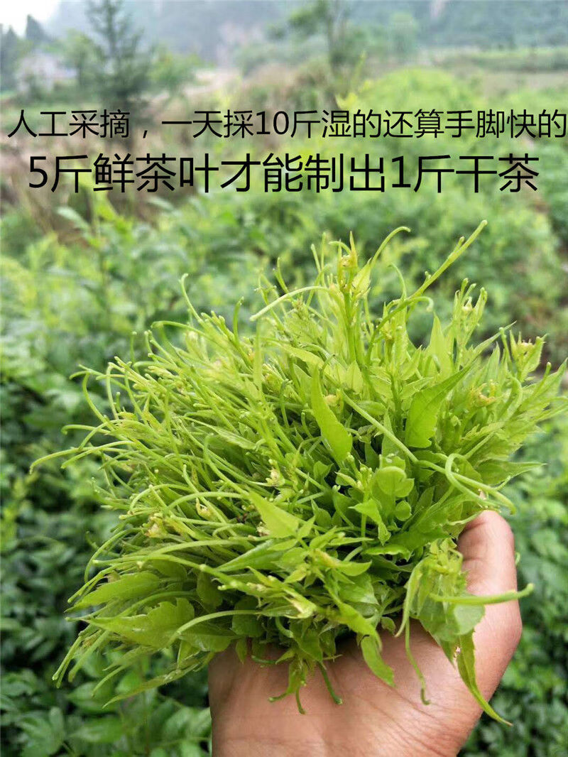 莓茶嫩芽尖張家界持級龍鬚牙嫩葉莓茶黴茶藤茶養生茶袋裝嫩葉500克