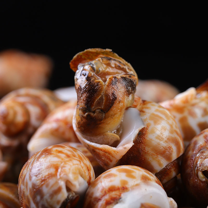 花螺鲜活花罗冷冻新鲜海鲜螺类海螺香螺东风螺贝类大猫眼螺冰冻 腾旺