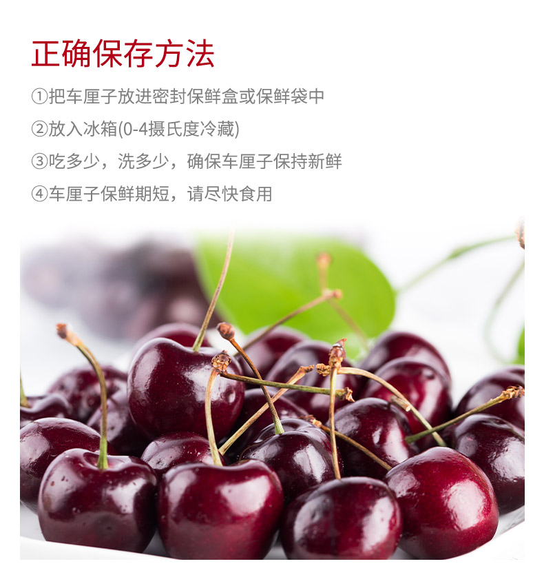 82a55c48b770a34e.jpg
