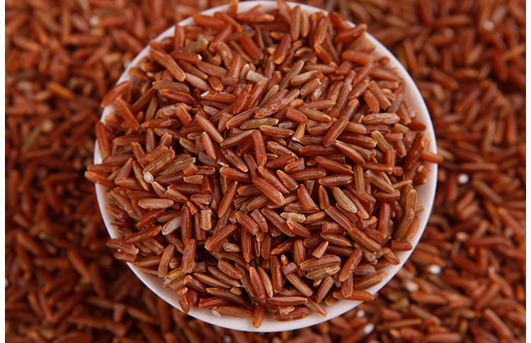 东北红米10斤农家自产新米红梗米红血稻糙米五谷杂粮5斤大米红米10斤