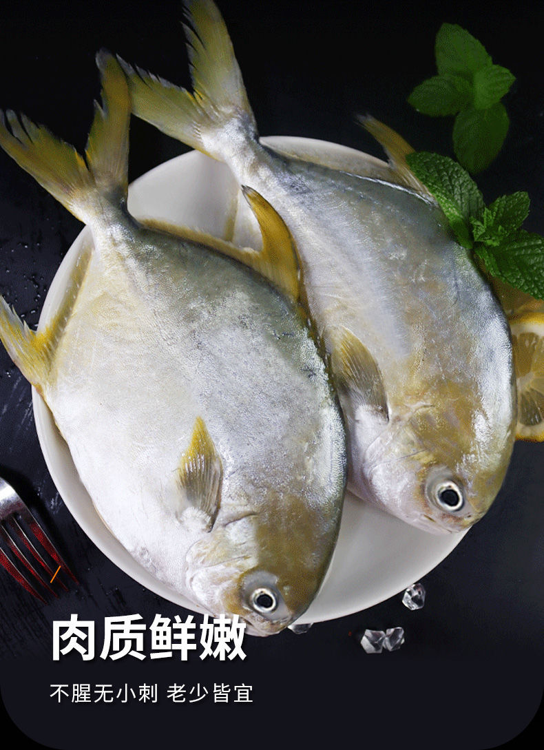 10050369905555商品名称:新店冲量金鲳鱼鲜活冷冻新鲜鲳鱼特大号海鱼