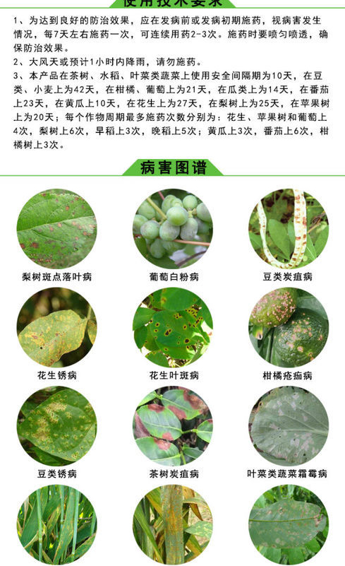 高邦 利民统领75%百菌清白粉病霜霉病叶斑病花卉蔬菜果树炭疽病剂