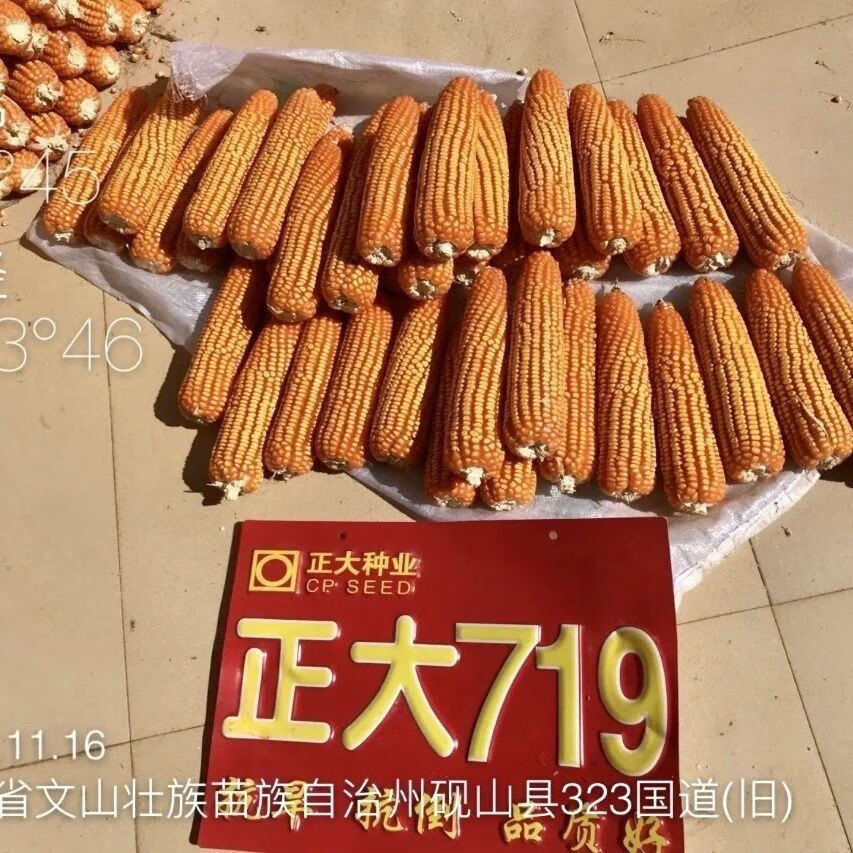 a2ca6948fba08707.jpg