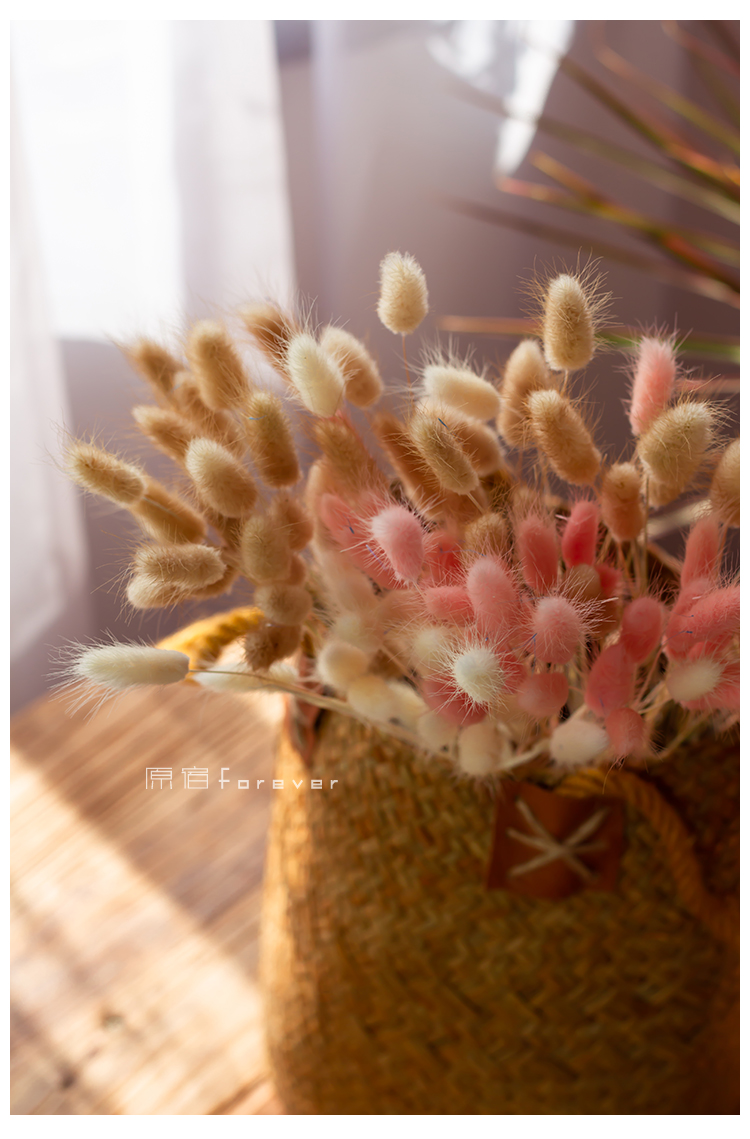 悦商宏风干真花兔尾草干花桌面装饰摆设小清新花束搭配彩色狗尾巴草花