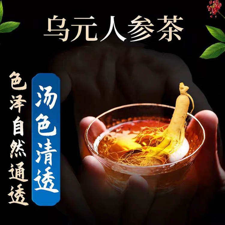 修正养生组合猴头菇砂仁沙棘茶