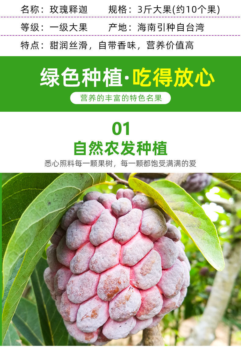 (顺丰空运)海南玫瑰释迦 当季新鲜水果 红色番荔枝 牟尼佛头果 单果