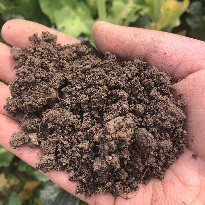 蚯蚓粪有机肥蚯蚓粪有机肥大包种菜土种花土花肥料多肉营养土种植土