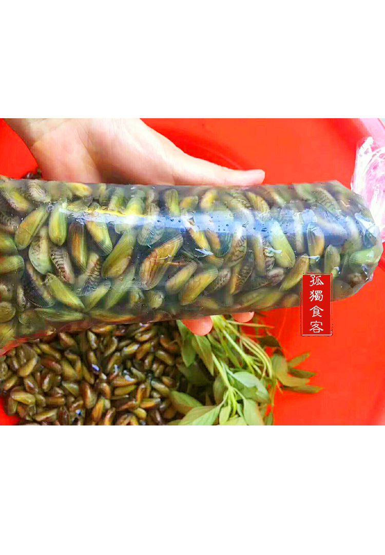海瓜子当天新鲜薄壳贝类小贝壳海鲜水产鲜活 3斤装【图片 价格 品牌